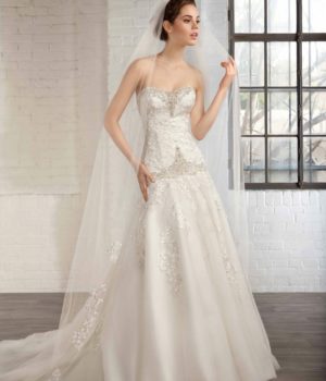7748_5-scaled-1.jpg
